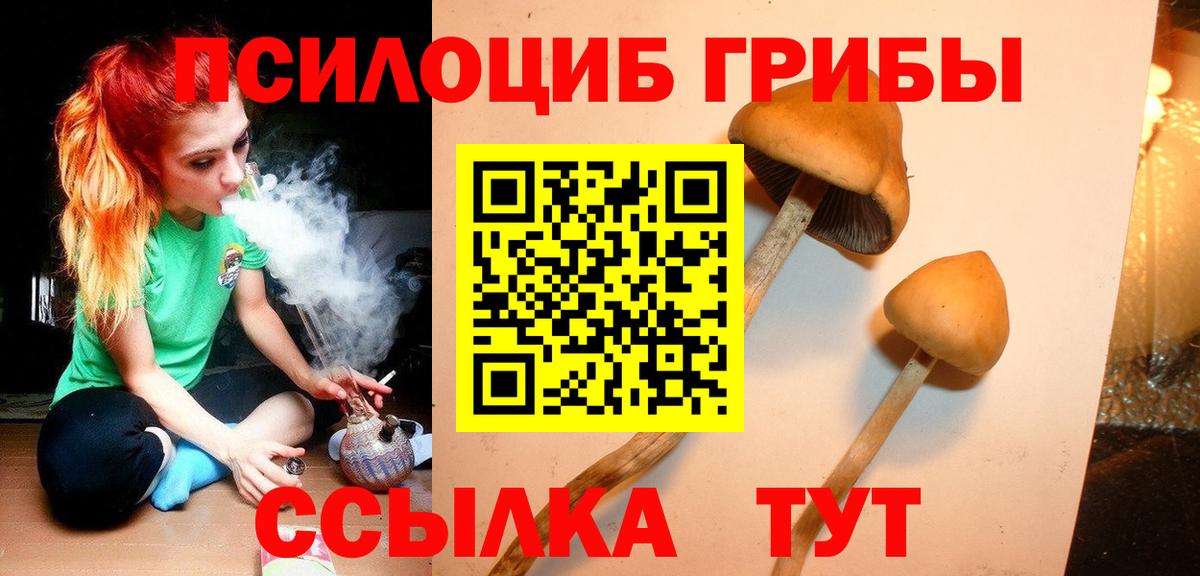 Галлюциногенные грибы мицелий  Вход с VPN  Чебаркуль 